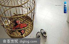 » �ų��Ķ�� Scholl AD ������