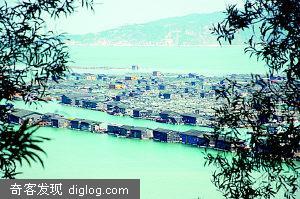 渔排搭建海上浮城(图)