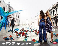 » ȫ���ů����Diesel Global Warming Campaign ������