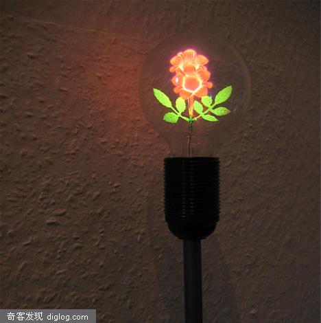 灯泡像花儿一样