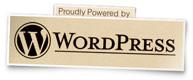 ����Ż�WordPressģ�壨����