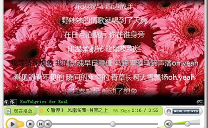 Realplayer�Ƴ����ɿ��Ҹ�ʼ����°汾