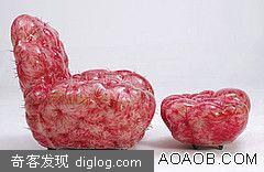 仙人掌沙发
