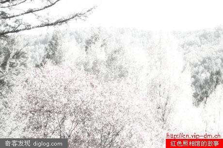 下雪了,PS出雪天来!