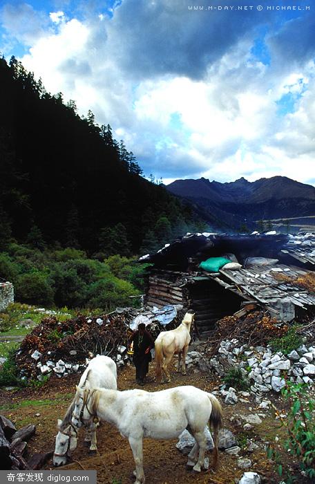 稻城亚丁--迎风流泪(4) - 地窝子 行者 旅行 游记 让我们和你一起上路