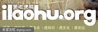  中国志愿者创办老虎保护网站 - 爱老虎(ilaohu.org)
