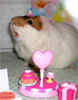 For ME!?