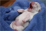 *Yawn*