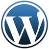 WordPress 开发者工具箱(上)
