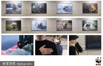 WWF：你的心被击中了吗？