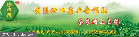 茶的营养价值知多少