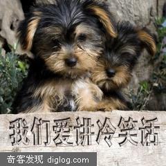 我们爱讲冷笑话