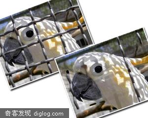 不用PS也能轻松去除图片中你不想要的文字或者物体
