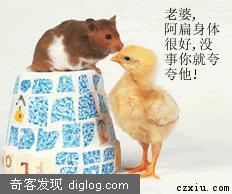 ���ţ��п�������ˮ�������