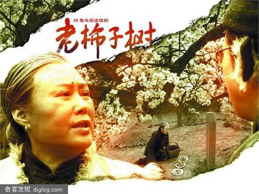 电视剧《老柿子树》剧情介绍/演员表/精彩剧照