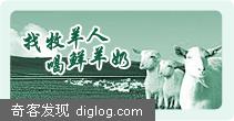 羊奶食疗方法十例