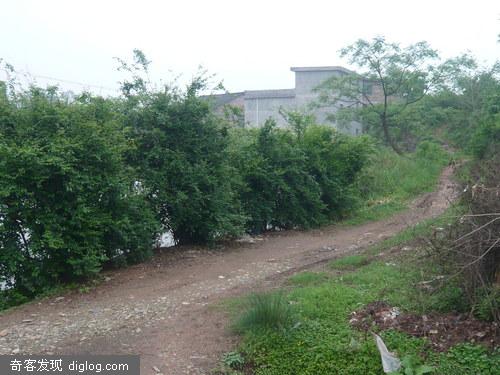 广东中山湖南郴州安仁侯松林HOUSON的快乐老家