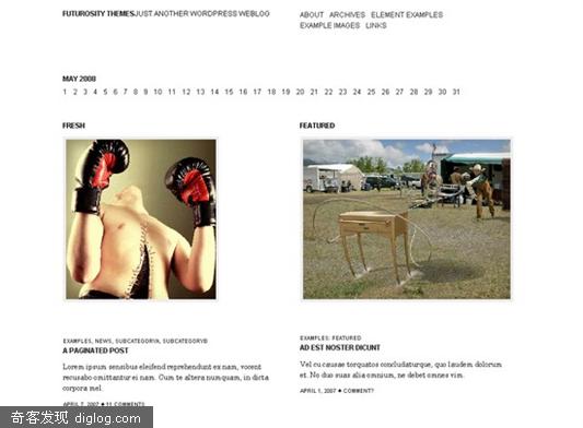 ��30�����CMS��������־��Wordpress����