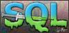 SQL INJECTION  3 款 SQL INJECTION 攻击检测工具