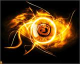 Firefox3����ҷ��չ
