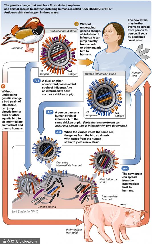 ����H1N1����ȫ������ʵʱ���ٵ�ͼ | ��������