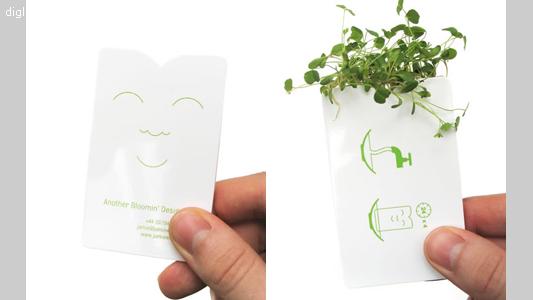 概念 设计  生长植物的名片