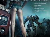 Tie Guan Yin VS Transformers